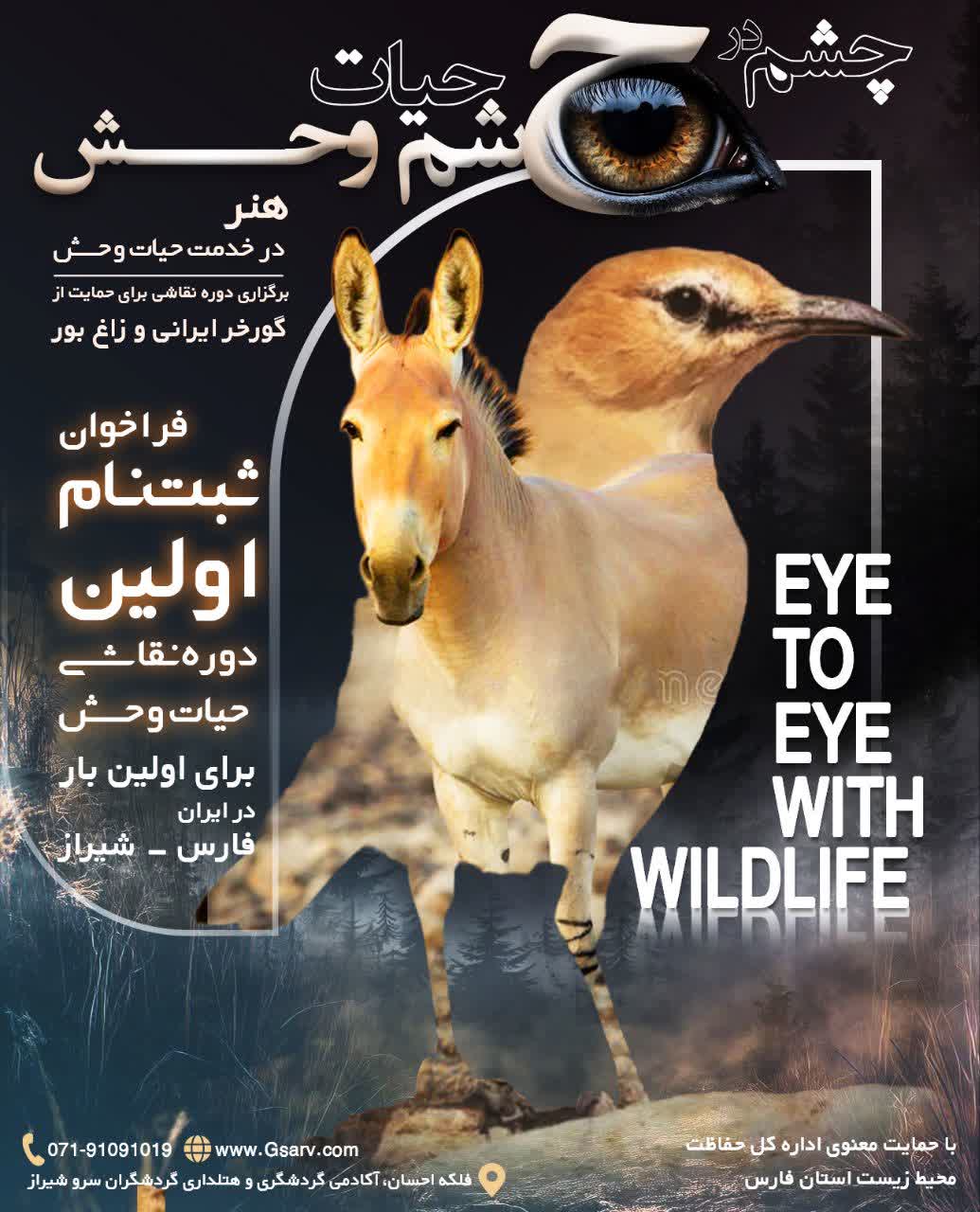 جلسه توجیهی نقاشی حیات وحش