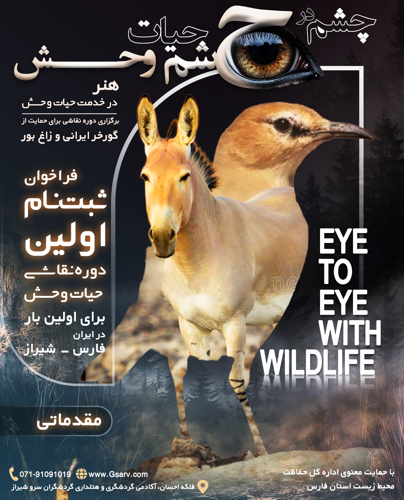 دوره مقدماتی نقاشی حیات وحش