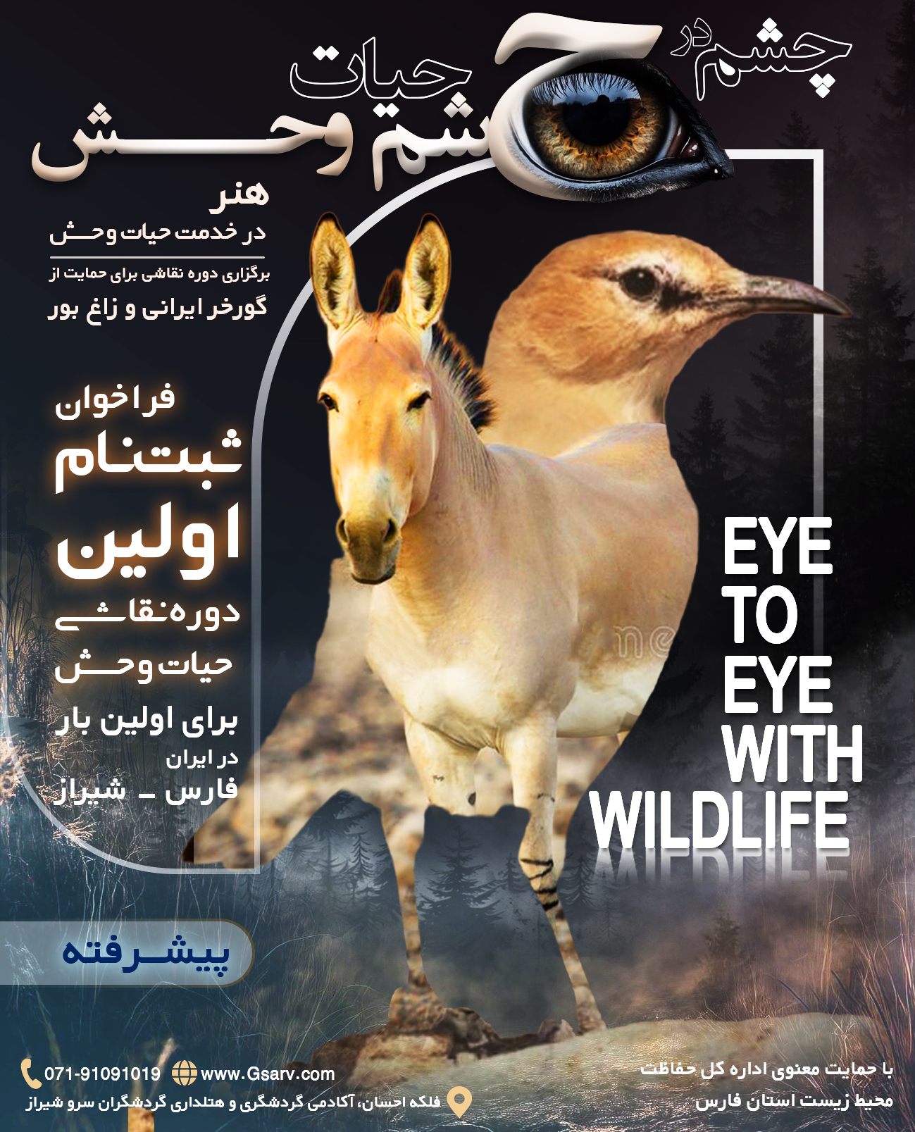 دوره پیشرفته نقاشی حیات وحش